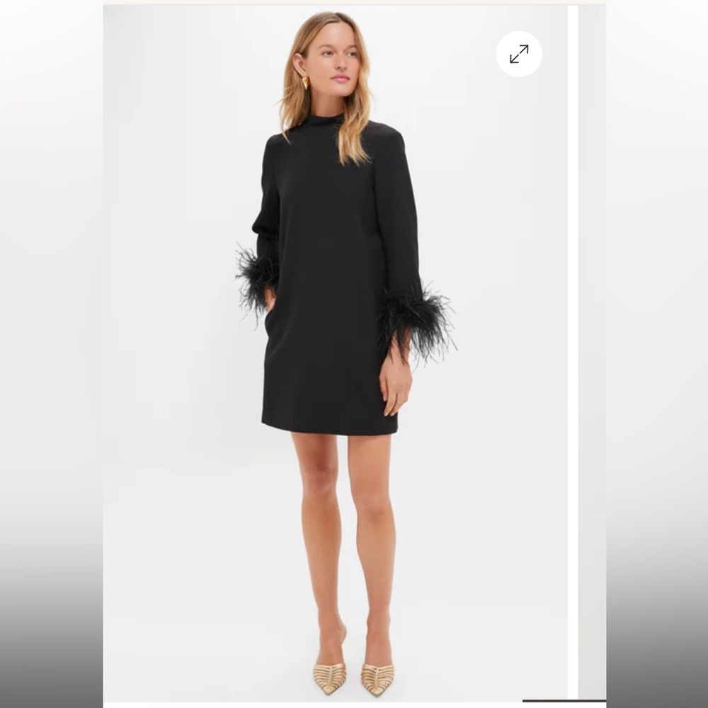 Tuckernuck Black Feather Mod Ellie Dress